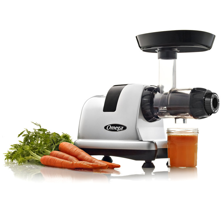 Omega Horizontal Slow Masticating & Cold Press Juicer & Reviews Wayfair